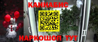 амф Кимры