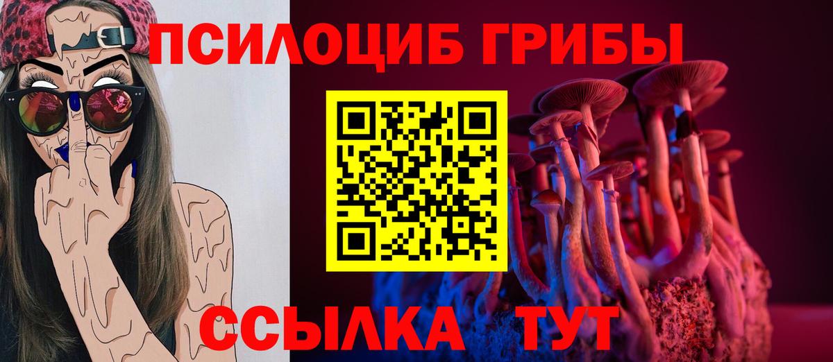 Галлюциногенные грибы Psilocybe Корсаков